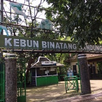  Kebun Binatang Bandung  Zoo