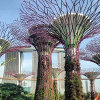 Garden By The Bay Playground gardensthe bay - garden in singapore Garden By The Bay Playground gardensthe bay - garden in singapore