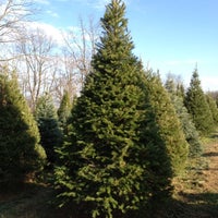 photo taken at moose apple christmas tree farm by anthony w on 128 - Moose Apple Christmas Tree Farm photo taken at moose apple christmas tree farm by anthony w on 128 - Moose Apple Christmas Tree Farm
