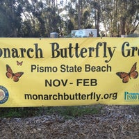 monarch grove butterfly