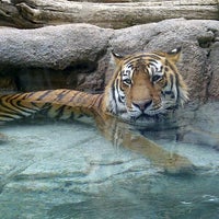 Photo taken at Hogle Zoo by Si Cynthia Photos on 9/23/2012