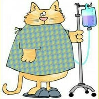 Ark Pet Clinic | کلینیک حیوانات خانگی ارک - تبریز, آذربایجان شرقی... Photo taken at Ark Pet Clinic | کلینیک حیوانات خانگی ارک by Sevin S. on ...