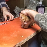 Ark Pet Clinic | کلینیک حیوانات خانگی ارک - تبریز, آذربایجان شرقی... Photo taken at Ark Pet Clinic | کلینیک حیوانات خانگی ارک by Fardis B. on ...