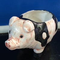 Slick pig coupons