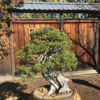 Bonsai Garden at Lake Merritt - Adams Point - 666 Bellevue Ave