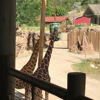 Photo taken at Giraffes at Hogle Zoo by Oleksandr V. on 8/11/2017
