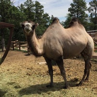 Photo taken at Spirit of the Hills Wildlife Sanctuary by Jay H. on 7/5/2016 Photo taken at Spirit of the Hills Wildlife Sanctuary by Jay H. on 7/5/2016