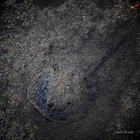 Photo taken at Kranji Beach Battle Site by Leon T. on 11/5/2012