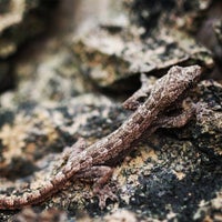 Photo taken at Kranji Beach Battle Site by Leon T. on 11/6/2012