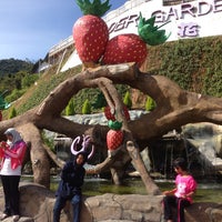 Photo taken at Cameron Lavender Garden by Rosli S. on 6/30/2013