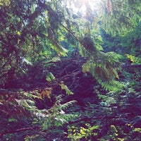 Photo taken at Glacier National Park by Brad K. on 8/24/2017 Photo taken at Glacier National Park by Brad K. on 8/24/2017
