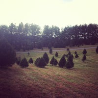 photo taken at middleburg christmas tree farm by christina r on 1124 - Middleburg Christmas Tree Farm photo taken at middleburg christmas tree farm by christina r on 1124 - Middleburg Christmas Tree Farm