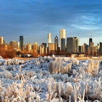 northerly island