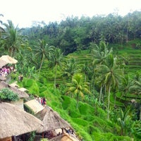 Photo taken at Tegallalang Rice Terraces by Patricia R. on 3/28/2013
