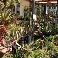 Walter Andersen Nursery Garden Center In Midway District Photo Taken At Walter Andersen Nursery By Crystal Lyn On 2 23 2017