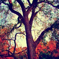 Photo taken at Tompkins Square Park by Sherboto T. on 7/23/2013