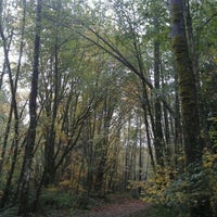 Photo taken at Cougar Mountain Regional Wildland Park by Seong Y. on 10/27/2012