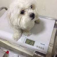 کلینیک حیوانات خانگی نیک پت nik pet small animals clinic - Pet ...... Photo taken at کلینیک حیوانات خانگی نیک پت nik pet small animals clinic by Pouya N ...