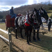battenfeld s christmas tree farm rhinebeck ny battenfeld s christmas tree farm rhinebeck ny