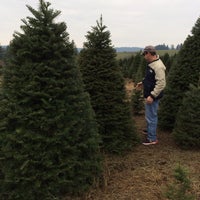 loch lolly christmas forest north plains or loch lolly christmas forest