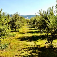 kiyokawa family orchards parkdale oregon