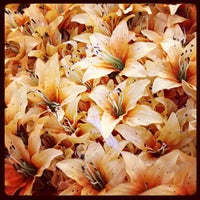 At Home - Furniture / Home Store in Central Oklahoma City