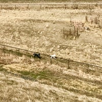 Lowry Dog Park - Dog Run in Lowry Field