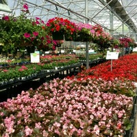 Cornelius Nursery Houston Thenurseries Cornelius Nursery Houston Thenurseries