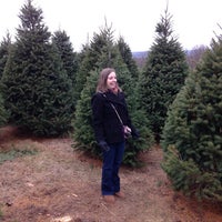 palmer christmas tree farm palmer christmas tree farm