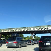 Animal Kingdom Parking Lot - Walt Disney World Resort - Walt Disney World