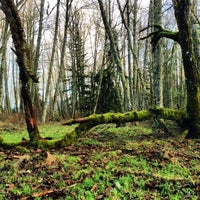 Photo taken at &quot;Radar Park&quot; at Cougar Mountain Regional Wildland Park by Sarah N. on 12/24/2013