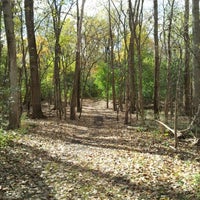 Half Day Forest Preserve - Vernon Hills, IL