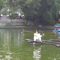 Photo taken at Zoo Johor by Skon J. on 1/28/2013