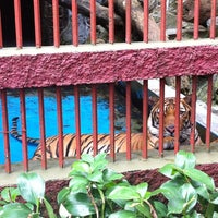 Photo taken at Zoo Johor by Farisha D. on 2/21/2013