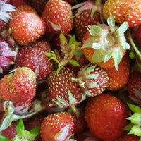 Новоуральск - City