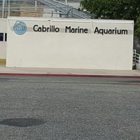 Cabrillo Marine Aquarium - 21209424 Su5sjeF Vj7H0QMDAZap YNYeqnW V1x4591DloI4eM