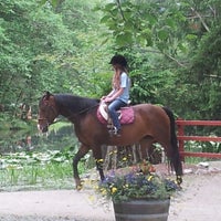 langs horse and pony farm