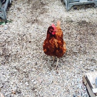 Christy Webber Farm & Garden - West Town - Chicago, IL