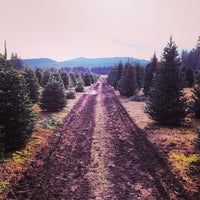 photo taken at northern lights christmas tree farm by aaron r on 1129 - Northern Lights Christmas Tree Farm photo taken at northern lights christmas tree farm by aaron r on 1129 - Northern Lights Christmas Tree Farm