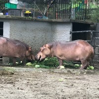 Photo taken at Zoo Johor by T-na R. on 12/25/2017