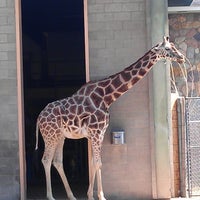 Photo taken at Giraffes at Hogle Zoo by Jen W. on 7/10/2013