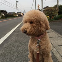 ひろた動物病院 芳賀町 栃木県 ひろた動物病院 芳賀町 栃木県