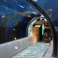 Aquarium du Québec - Saint Louis - 1675 Avenue des Hôtels