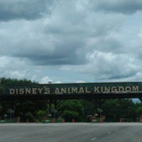 Animal Kingdom Parking Lot - Walt Disney World Resort - Walt Disney World