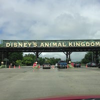 Animal Kingdom Parking Lot - Walt Disney World Resort - Walt Disney World