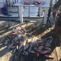Pelican harbor coupons