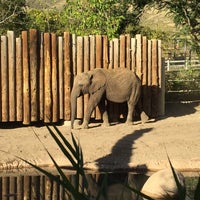 Photo taken at Elephant Encounter by Quarry on 10/16/2015