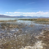 Photo taken at Utah Lake State Park by Amanda I. on 4/22/2018