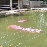 Photo taken at Zoo Johor by Kaiser S. on 8/22/2013