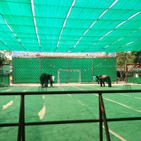 หมู่บ้านช้างบ้านตากลาง จ.สุรินทร์ - Thatum, จังหวัดสุรินทร์